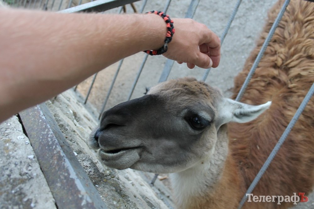 Путешествие с Юрием Глансковым: Одесса Путешествие с Юрием Глансковым: Одесса
