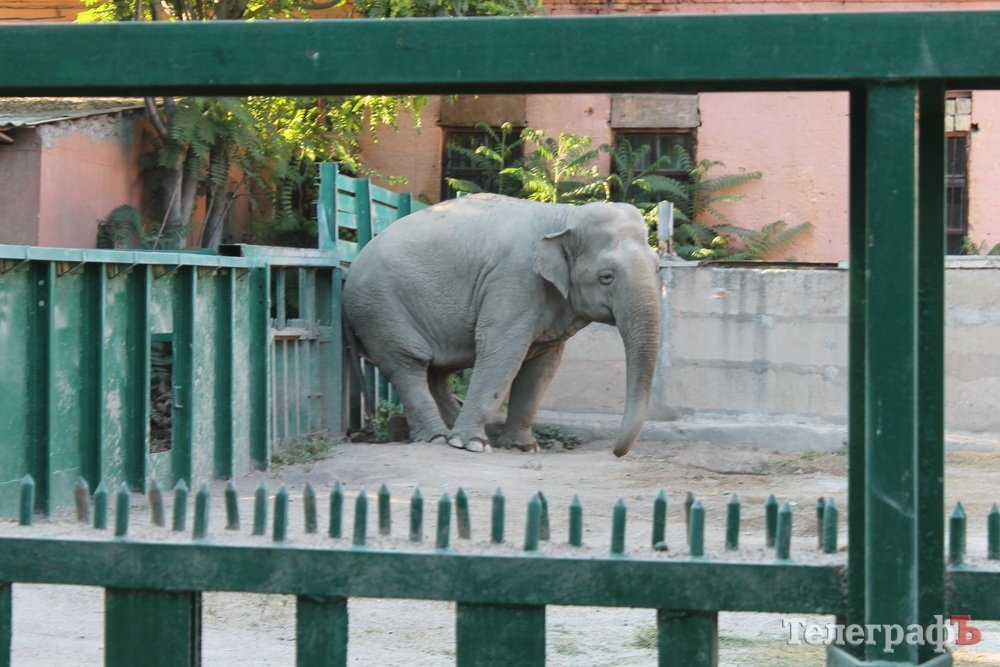 Путешествие с Юрием Глансковым: Одесса Путешествие с Юрием Глансковым: Одесса