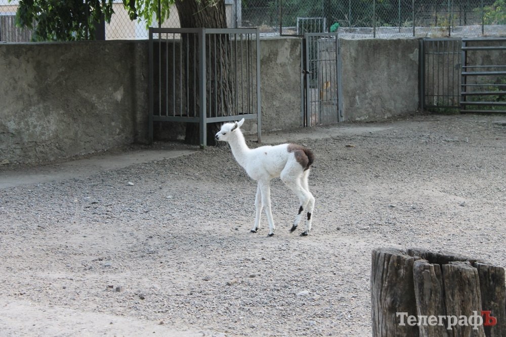Путешествие с Юрием Глансковым: Одесса Путешествие с Юрием Глансковым: Одесса