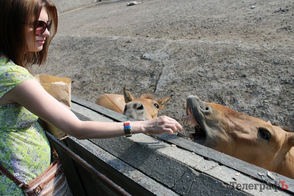 Путешествие с Юрием Глансковым: Одесса Путешествие с Юрием Глансковым: Одесса