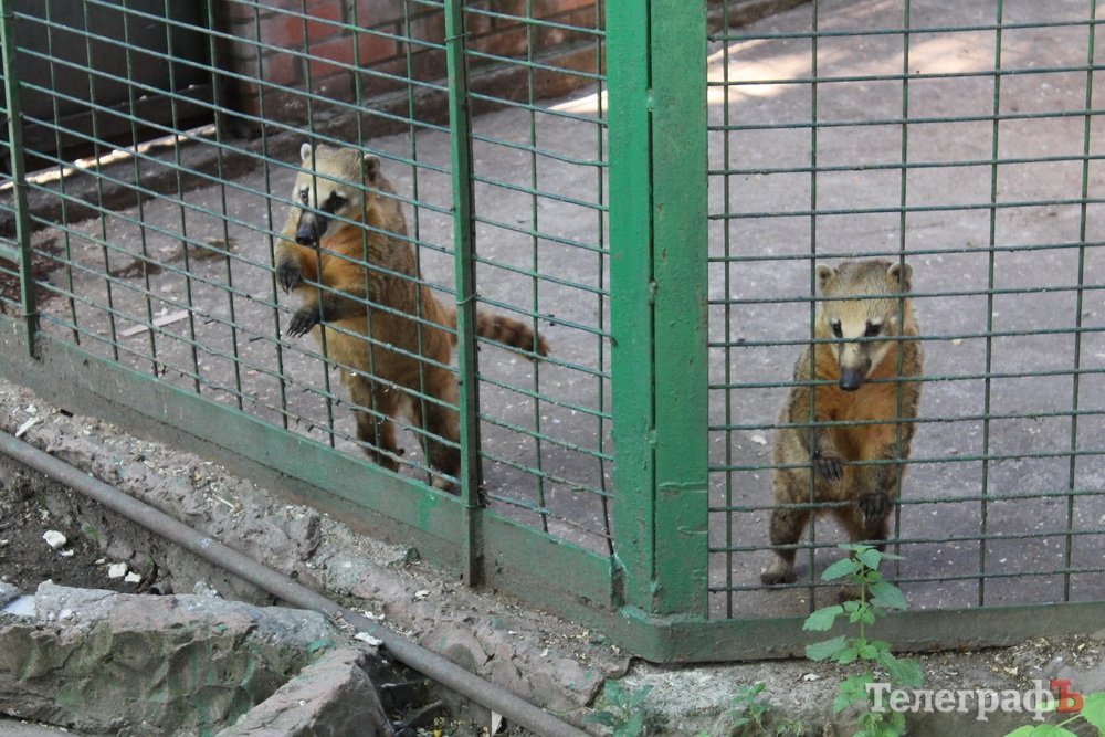 Путешествие с Юрием Глансковым: Одесса Путешествие с Юрием Глансковым: Одесса