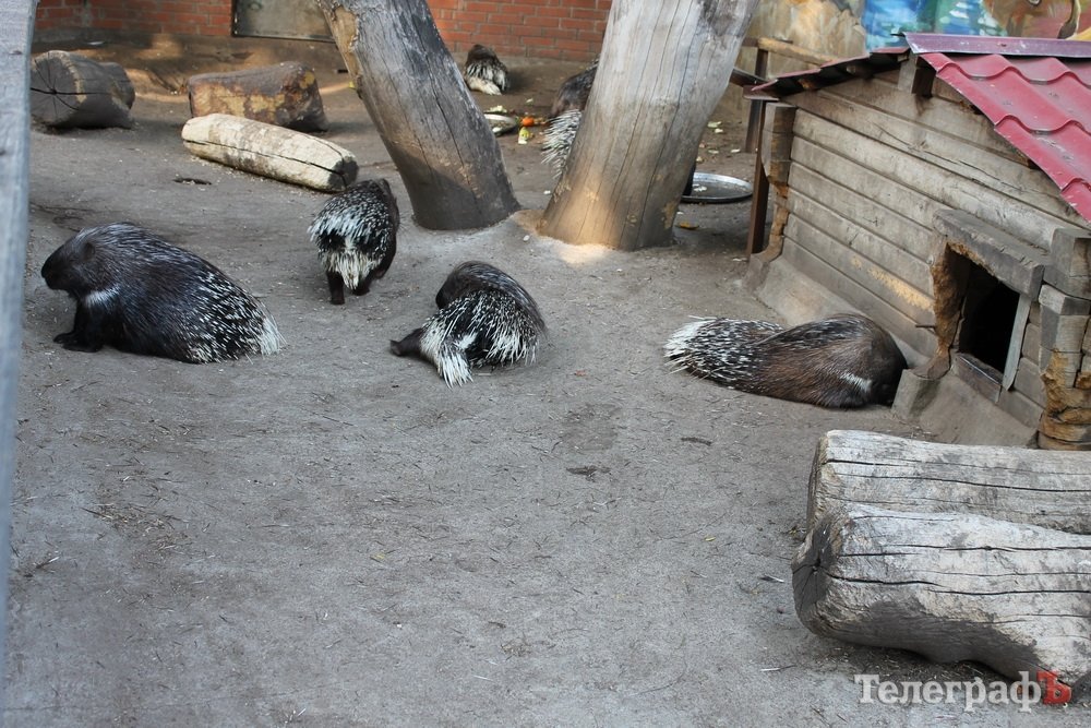 Путешествие с Юрием Глансковым: Одесса Путешествие с Юрием Глансковым: Одесса