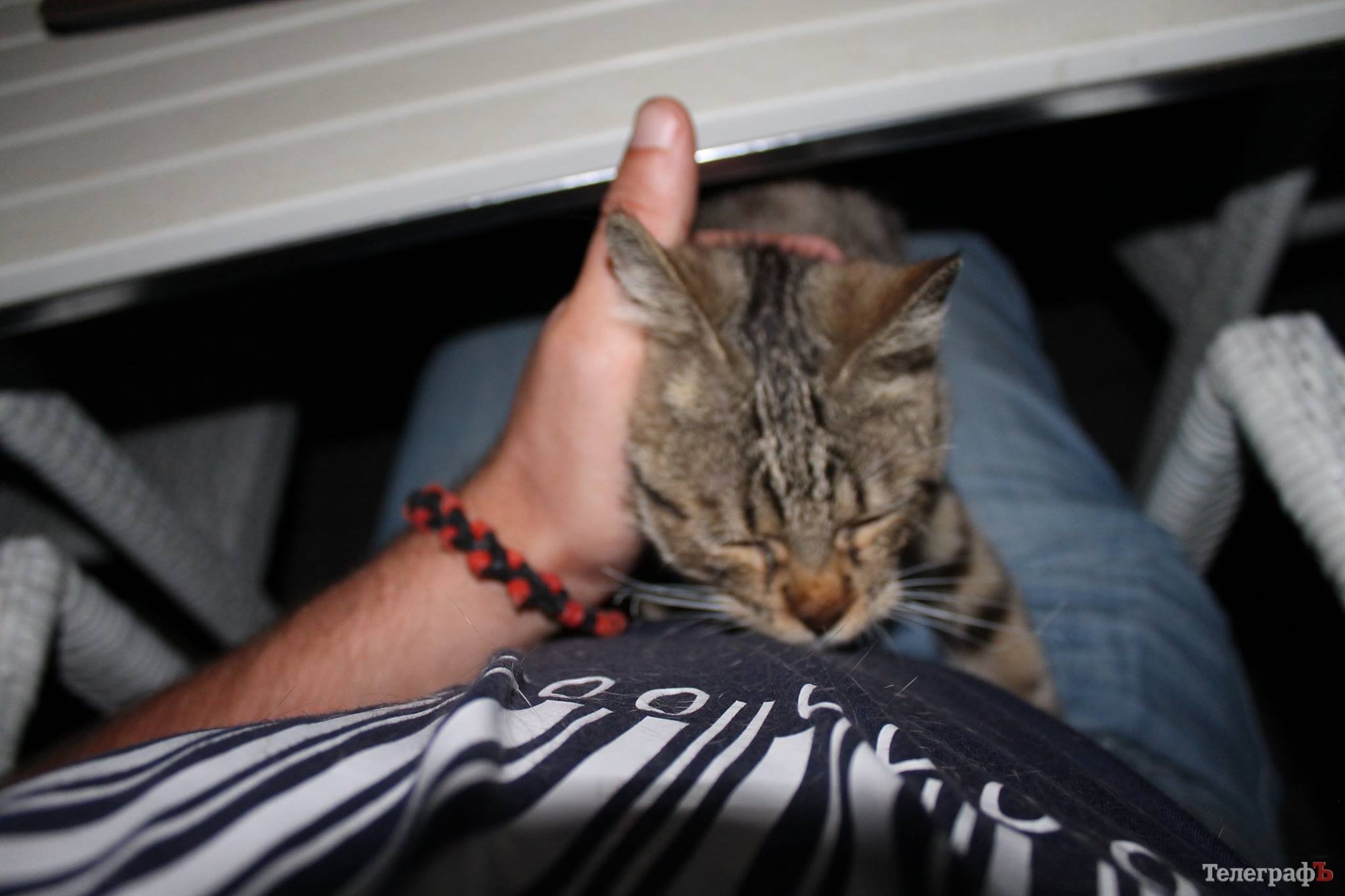 Путешествие с Юрием Глансковым: Одесса Путешествие с Юрием Глансковым: Одесса