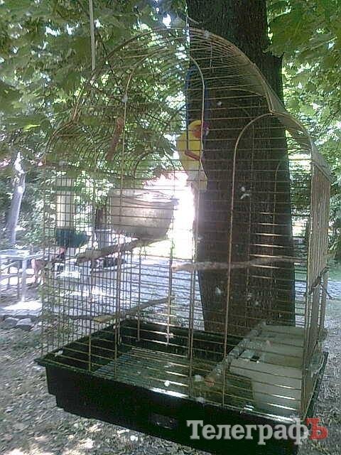 Путешествие с Юрием Глансковым: Одесса Путешествие с Юрием Глансковым: Одесса