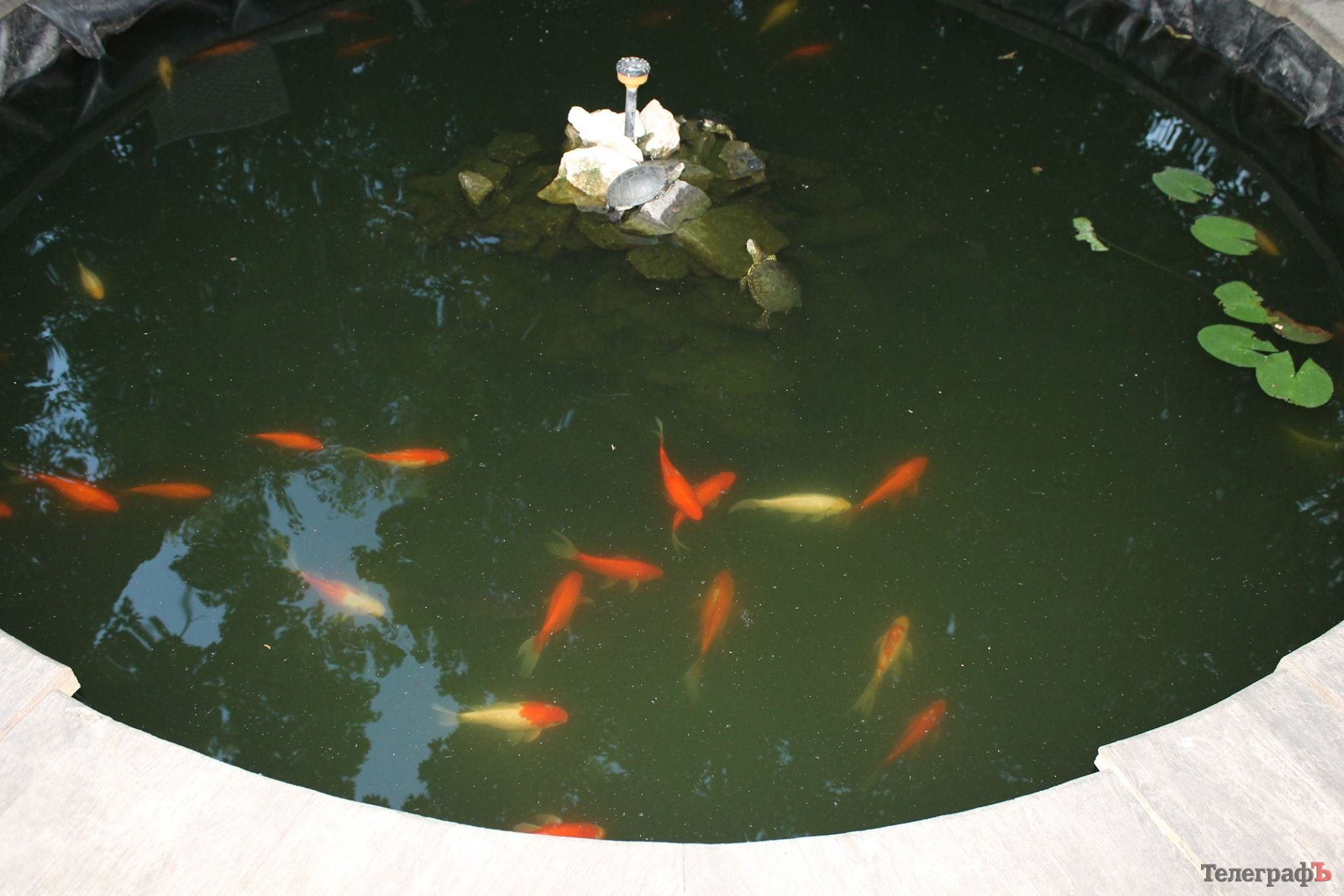 Путешествие с Юрием Глансковым: Одесса Путешествие с Юрием Глансковым: Одесса