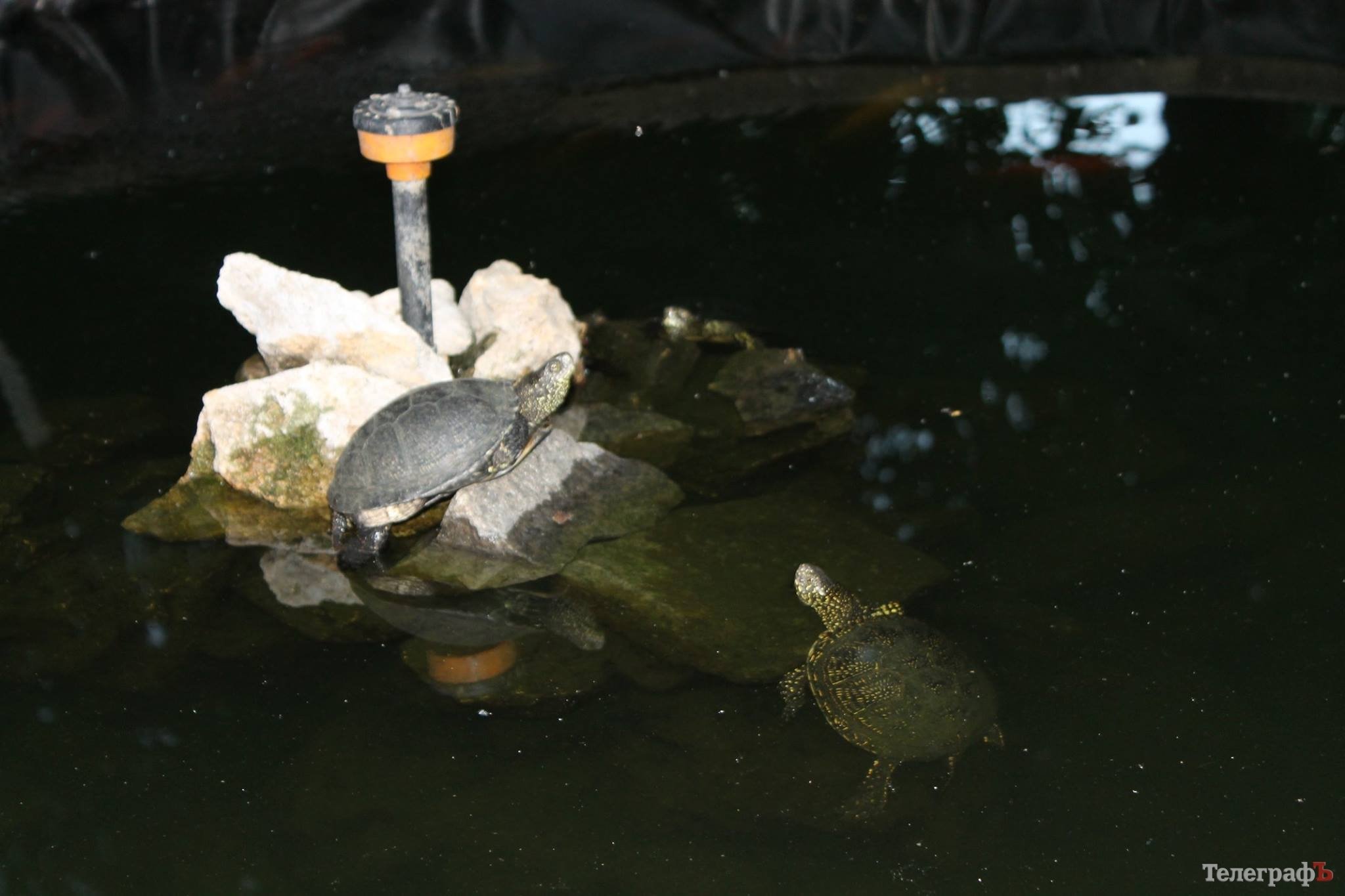 Путешествие с Юрием Глансковым: Одесса Путешествие с Юрием Глансковым: Одесса