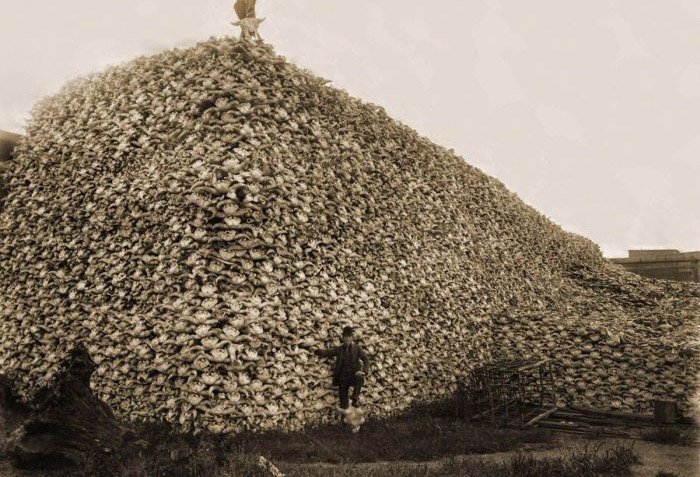 Подборка редких фотографий со всего мира. 1 выпуск Подборка редких фотографий со всего мира. 1 выпуск