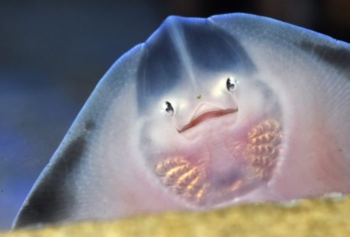 Подборка редких фотографий со всего мира. 2 выпуск Подборка редких фотографий со всего мира. 2 выпуск