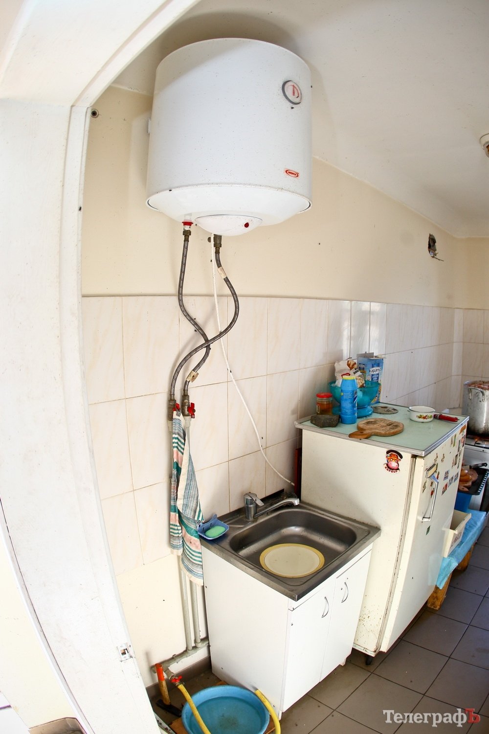 Як живеться чотирилапим бездомним у Кременчуці Як живеться чотирилапим бездомним у Кременчуці