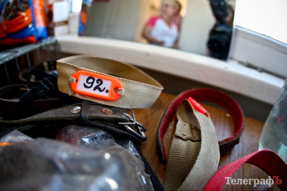 Як живеться чотирилапим бездомним у Кременчуці Як живеться чотирилапим бездомним у Кременчуці