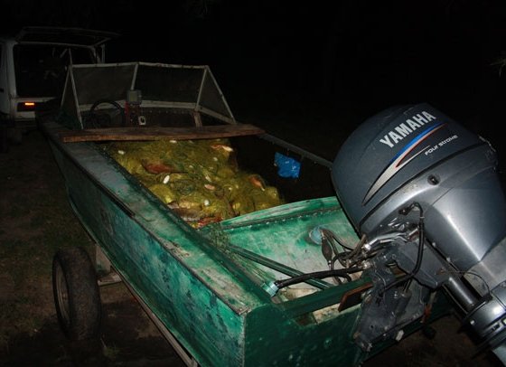 За нерест рыбинспекция "набраконьерила" 4 млн грн, - кременчугская милиция За нерест рыбинспекция "набраконьерила" 4 млн грн, - кременчугская милиция