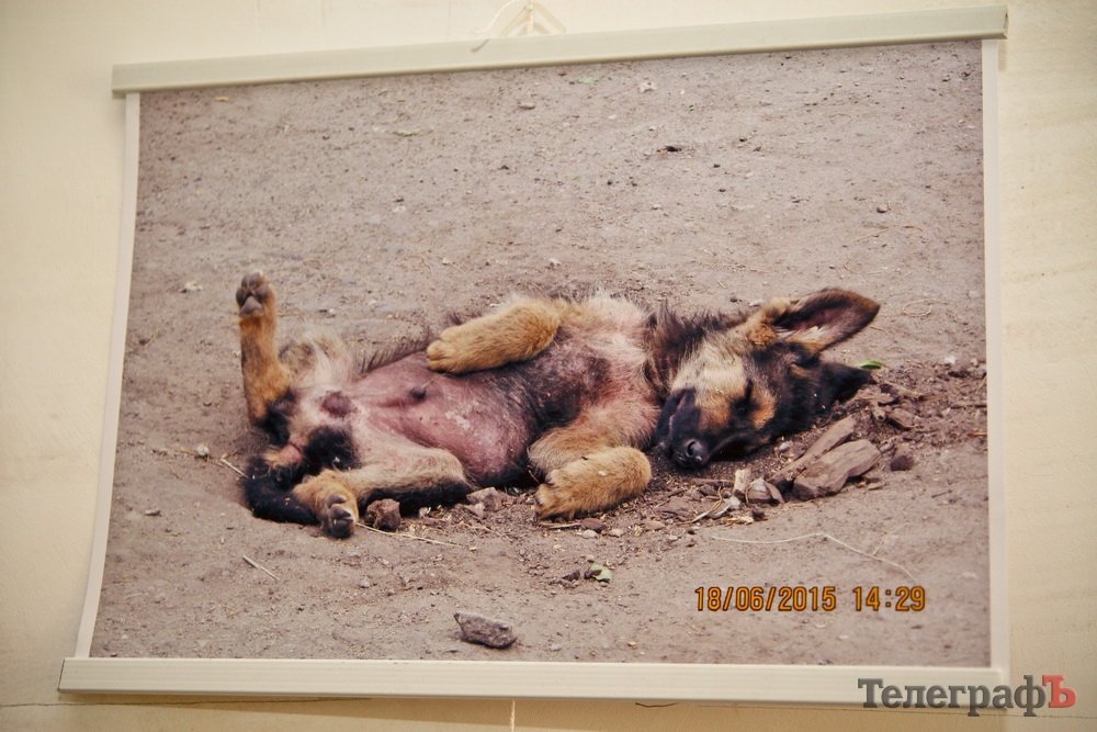 "Я понял, что это история только тогда, когда увидел свои фотографии," - Владимир Поляков "Я понял, что это история только тогда, когда увидел свои фотографии," - Владимир Поляков