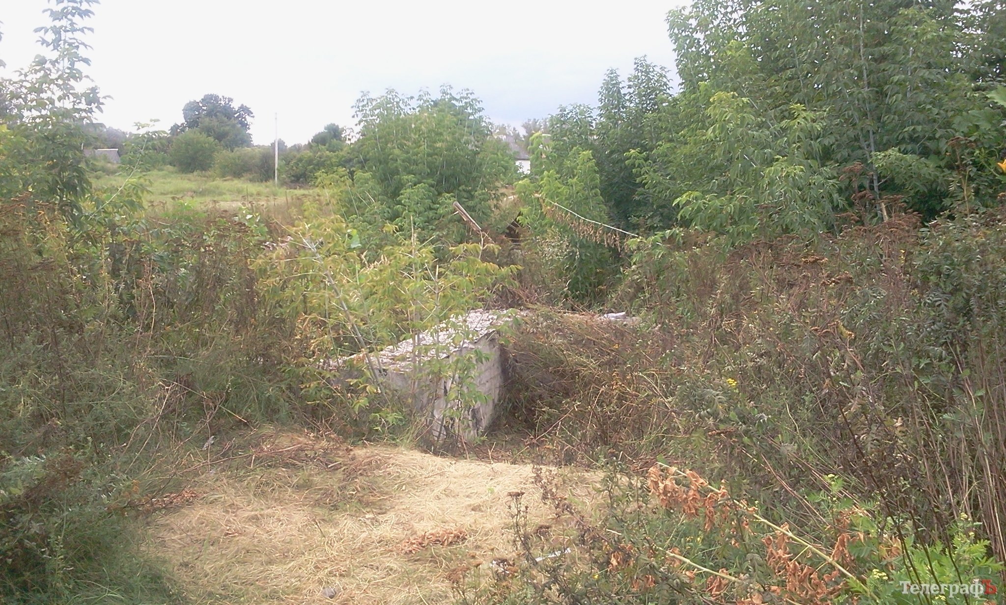 Граната, патроны и «ведро помоев» – подарок на день рождения для матери бойца Граната, патроны и «ведро помоев» – подарок на день рождения для матери бойца