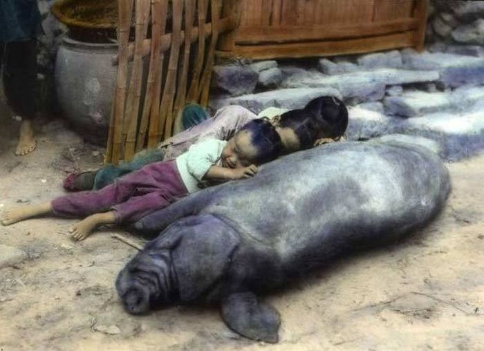 Подборка редких фотографий со всего мира. 7 выпуск Подборка редких фотографий со всего мира. 7 выпуск