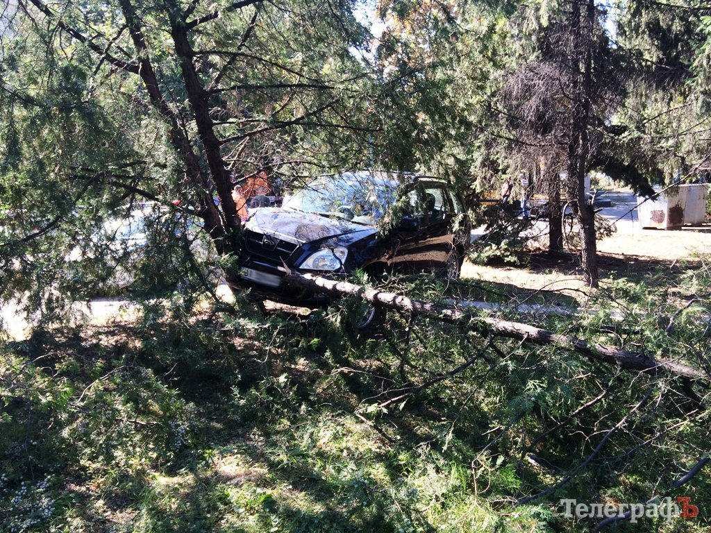 Пьяный кременчужанин на стоянке у «Кредмаша» «подправил» ландшафтный дизайн Пьяный кременчужанин на стоянке у «Кредмаша» «подправил» ландшафтный дизайн