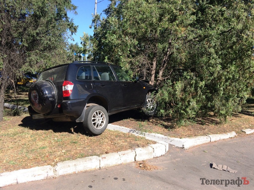 Пьяный кременчужанин на стоянке у «Кредмаша» «подправил» ландшафтный дизайн Пьяный кременчужанин на стоянке у «Кредмаша» «подправил» ландшафтный дизайн