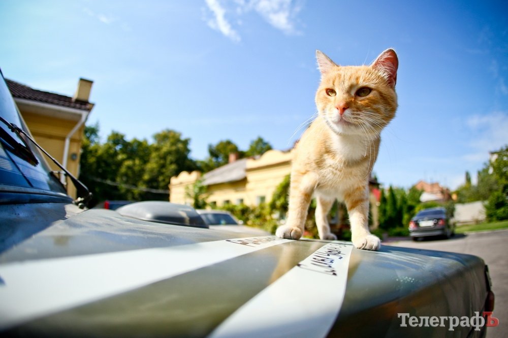Волонтери передали куплену та відремонтовану машину на передову Волонтери передали куплену та відремонтовану машину на передову