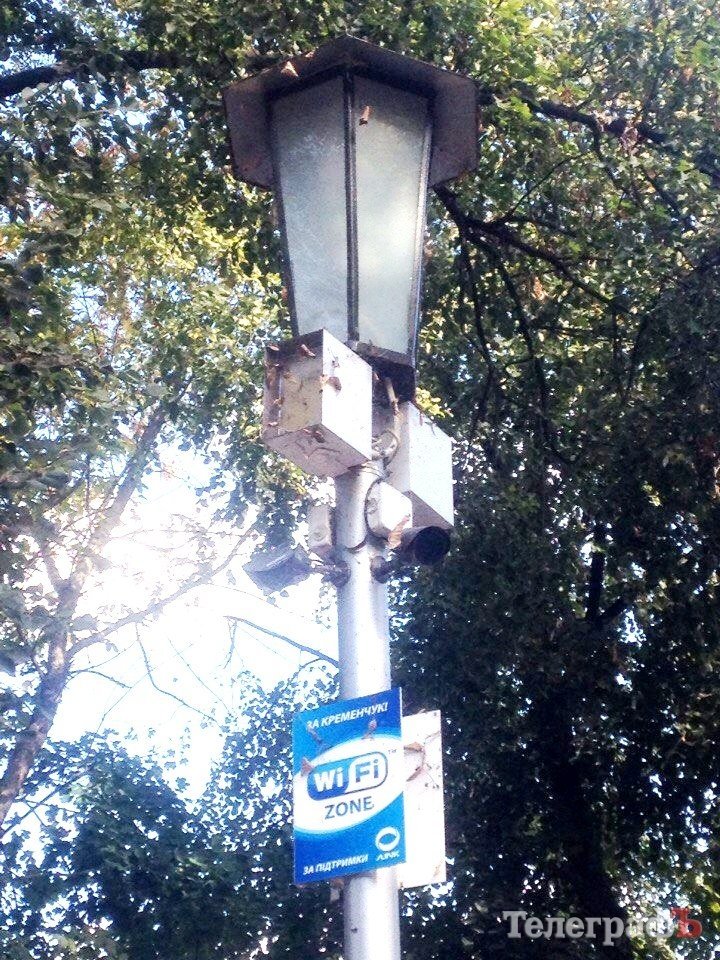 Аттракционы в Приднепровском парке подожгли - погиб ёжик Аттракционы в Приднепровском парке подожгли - погиб ёжик