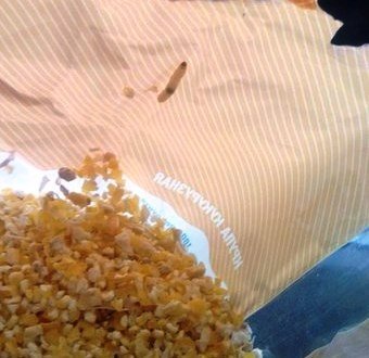 ПЕРЕД ЕДОЙ НЕ СМОТРЕТЬ: сюрпризы в пряниках и кукурузной крупе ПЕРЕД ЕДОЙ НЕ СМОТРЕТЬ: сюрпризы в пряниках и кукурузной крупе