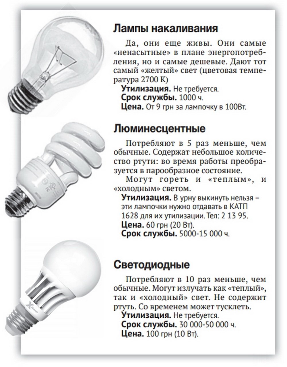 Дошли до лампочки: ищем варианты энергосбережения Дошли до лампочки: ищем варианты энергосбережения