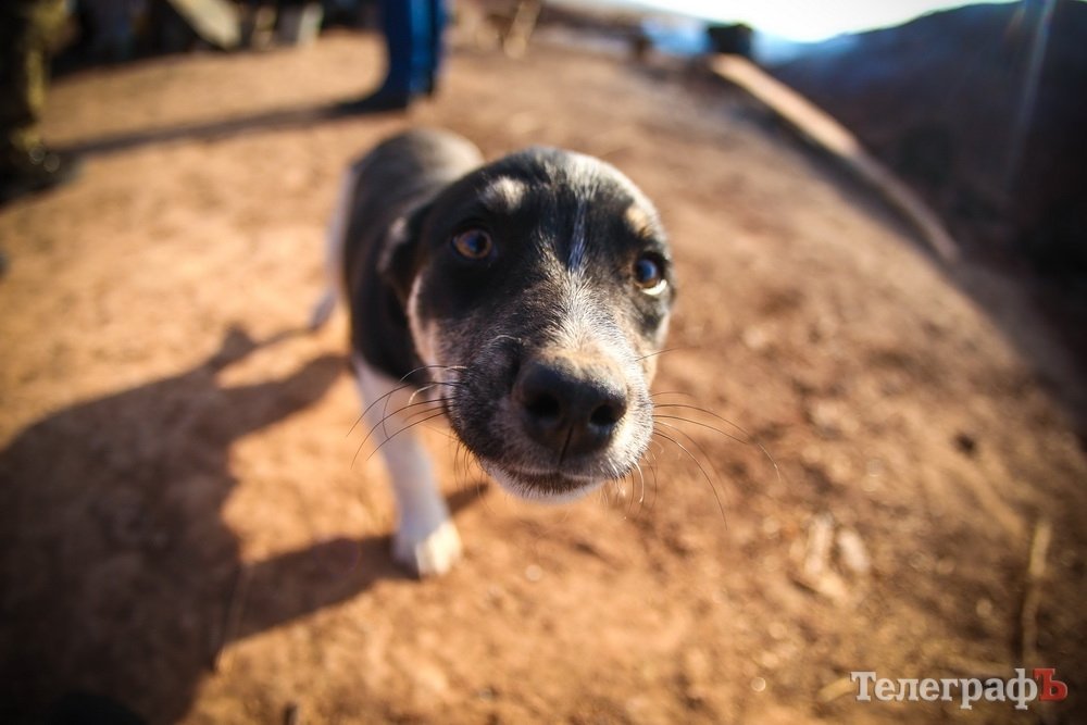 Война в объективе: фоторепортаж из зоны АТО Война в объективе: фоторепортаж из зоны АТО