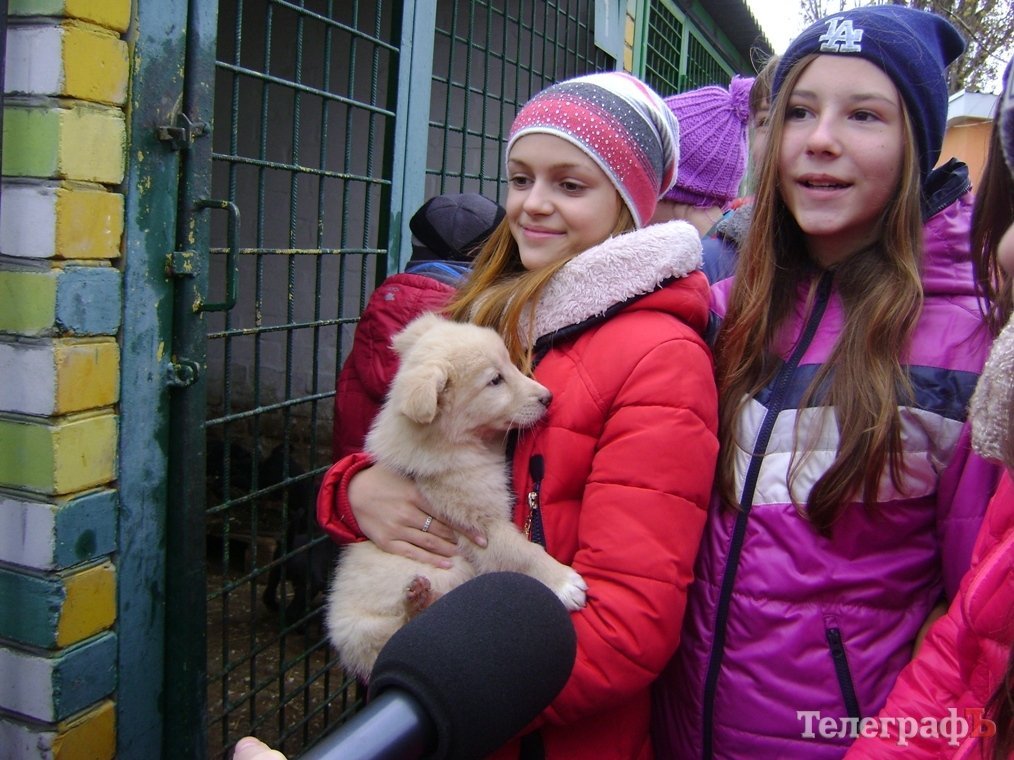 Дети пришли на экскурсию в собачий приют в Кременчуге Дети пришли на экскурсию в собачий приют в Кременчуге