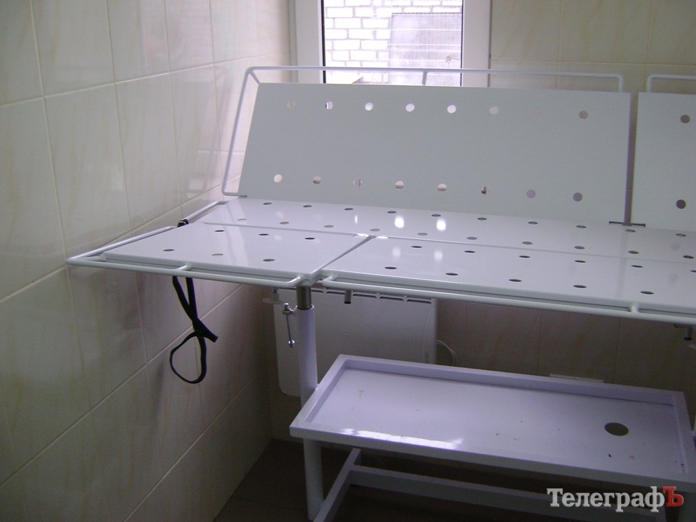 Дети пришли на экскурсию в собачий приют в Кременчуге Дети пришли на экскурсию в собачий приют в Кременчуге