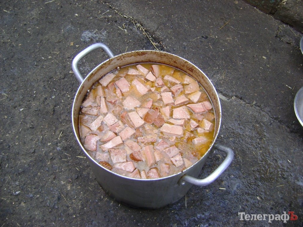 Дети пришли на экскурсию в собачий приют в Кременчуге Дети пришли на экскурсию в собачий приют в Кременчуге