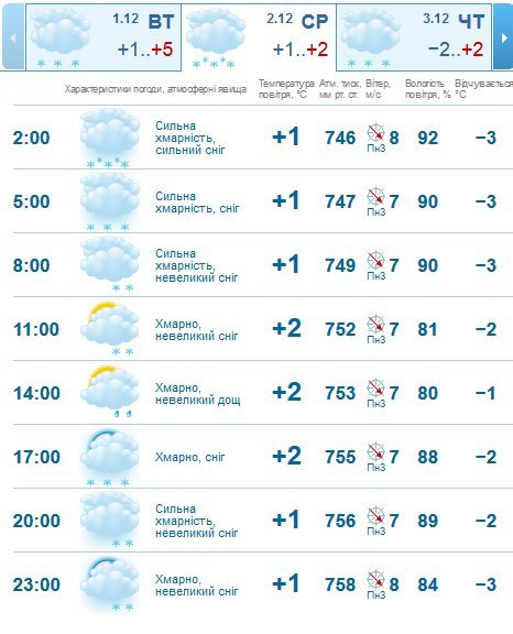 Перший сніг в Кременчуці не замерзне, - синоптики Перший сніг в Кременчуці не замерзне, - синоптики