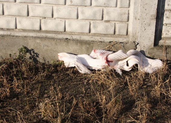 Кременчужанку, тело которой нашли на Чередниках, до смерти забили палкой Кременчужанку, тело которой нашли на Чередниках, до смерти забили палкой