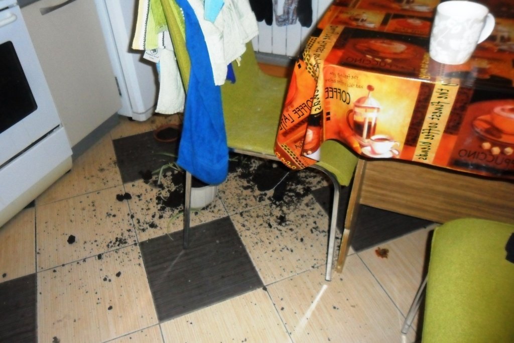 Какая-то неудачная ночь была сегодня у кременчугских преступников... Какая-то неудачная ночь была сегодня у кременчугских преступников...