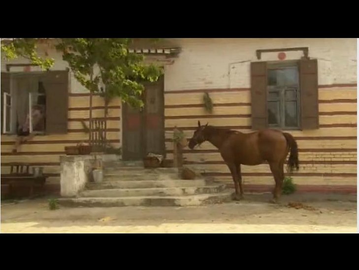 Сделано на Полтавщине: какое кино снимали у нас Сделано на Полтавщине: какое кино снимали у нас