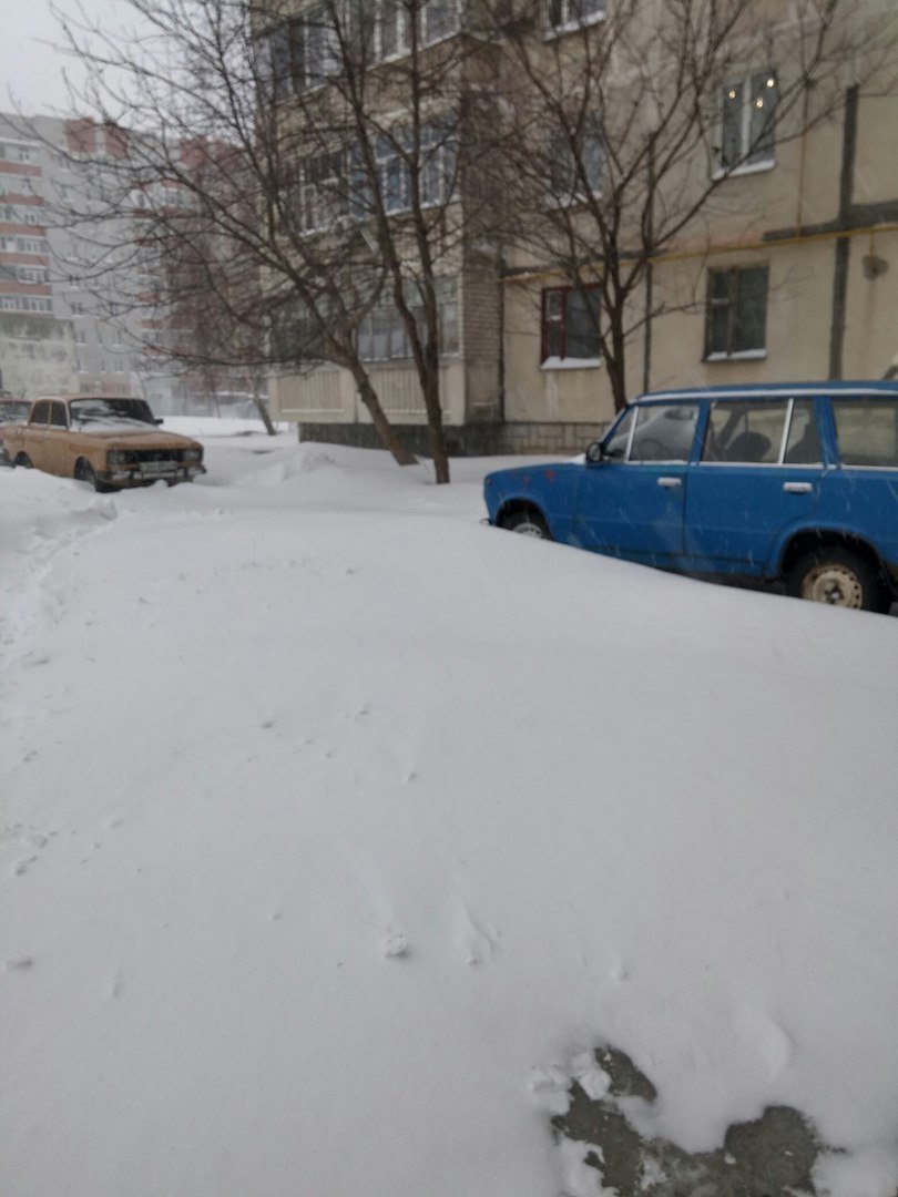 Фотоотчет кременчужан о снегопаде 18-19 января Фотоотчет кременчужан о снегопаде 18-19 января