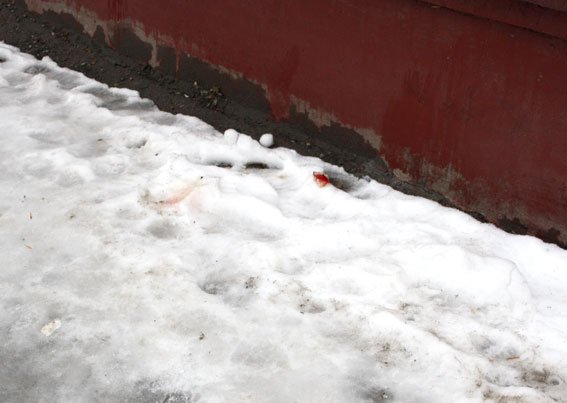 Кременчужанина, тело которого нашли на Раковке, убили молотком Кременчужанина, тело которого нашли на Раковке, убили молотком