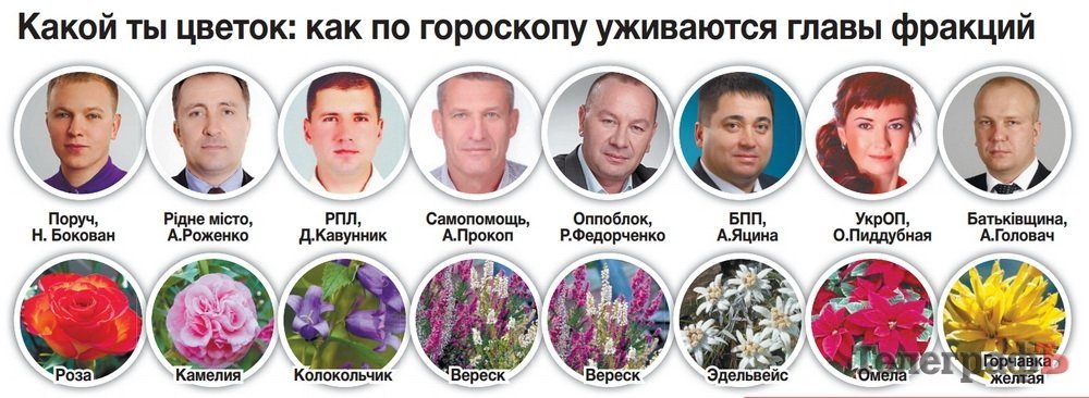 Горсовет Кременчуга: ни одной обезьяны! Горсовет Кременчуга: ни одной обезьяны!