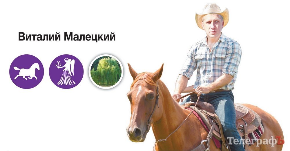 Горсовет Кременчуга: ни одной обезьяны! Горсовет Кременчуга: ни одной обезьяны!