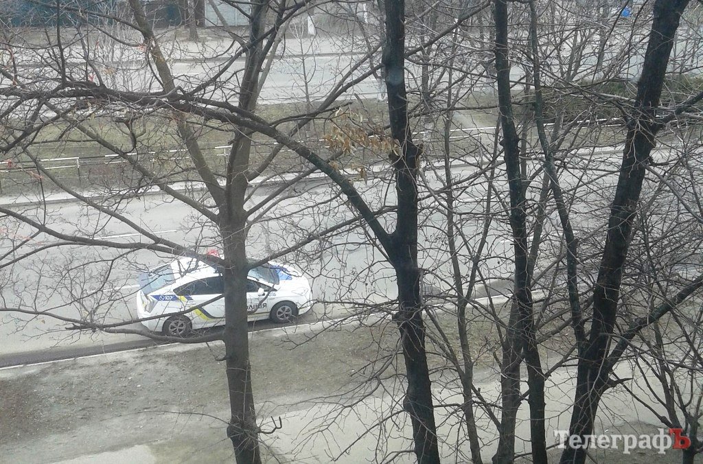 Первые «жертвы» патрульной полиции в Кременчуге – пешеходы и любители парковки на рынке Первые «жертвы» патрульной полиции в Кременчуге – пешеходы и любители парковки на рынке