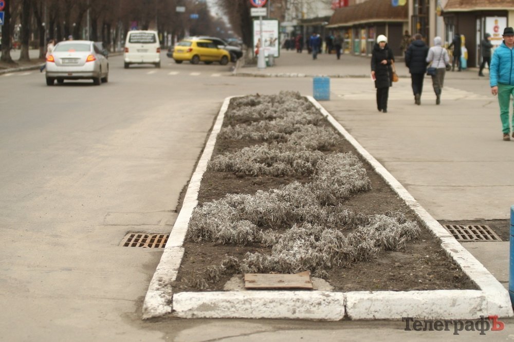 Живые мертвецы! Нарциссы-зомби появились на улицах Кременчуга Живые мертвецы! Нарциссы-зомби появились на улицах Кременчуга