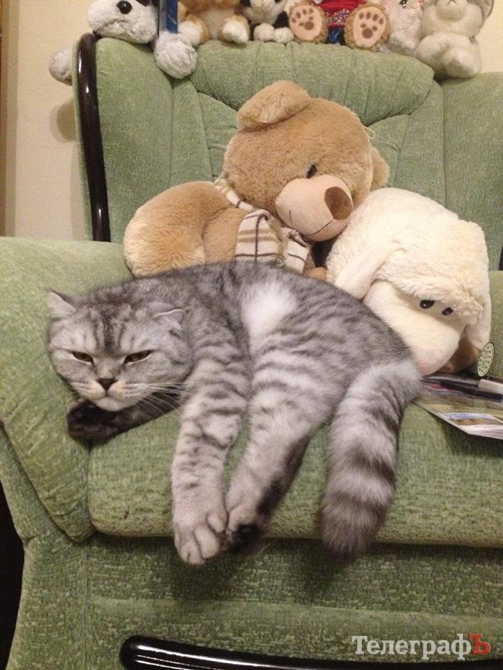 100 днів мера Малецького: поки без камери, зате з лопатою! 100 днів мера Малецького: поки без камери, зате з лопатою!