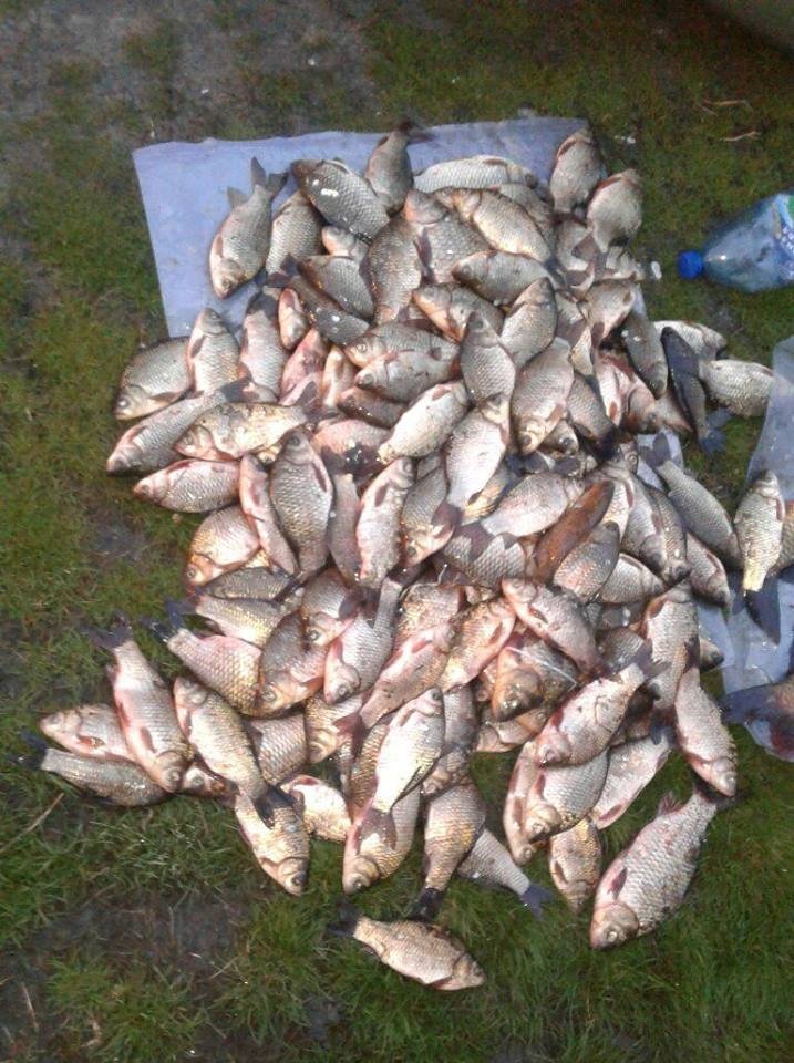 Кременчуцькі копи затримали рибалок-браконьєрів Кременчуцькі копи затримали рибалок-браконьєрів