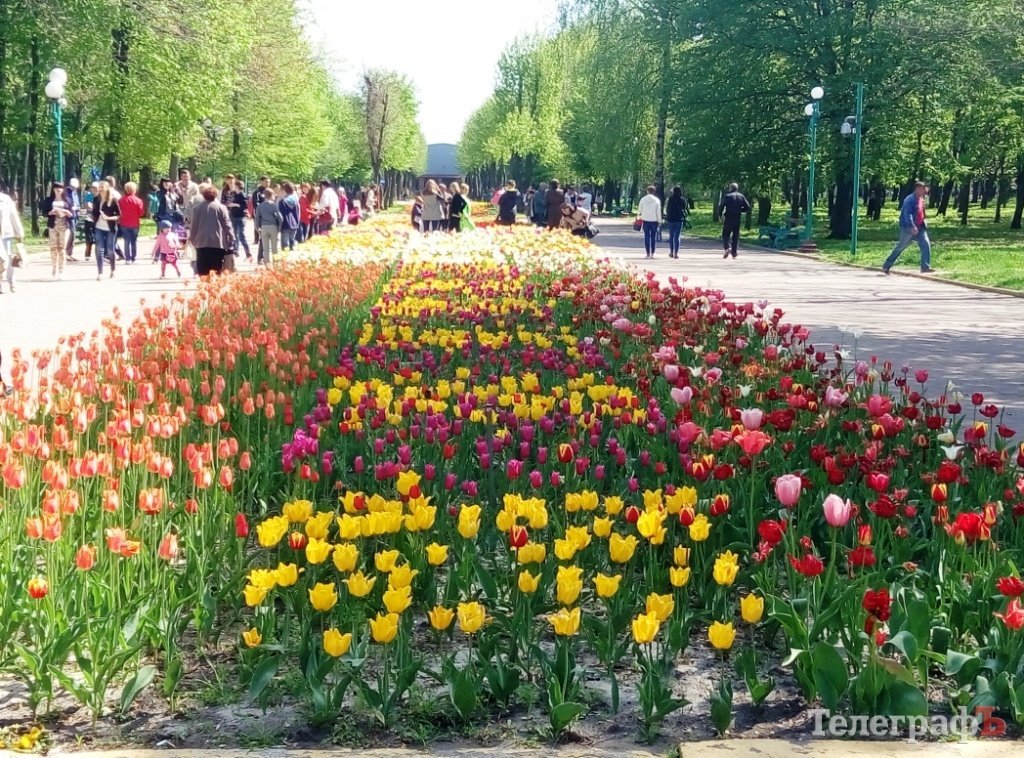 Поездка выходного дня: из Кременчуга - почти в Голландию Поездка выходного дня: из Кременчуга - почти в Голландию