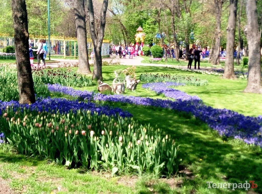 Поездка выходного дня: из Кременчуга - почти в Голландию Поездка выходного дня: из Кременчуга - почти в Голландию