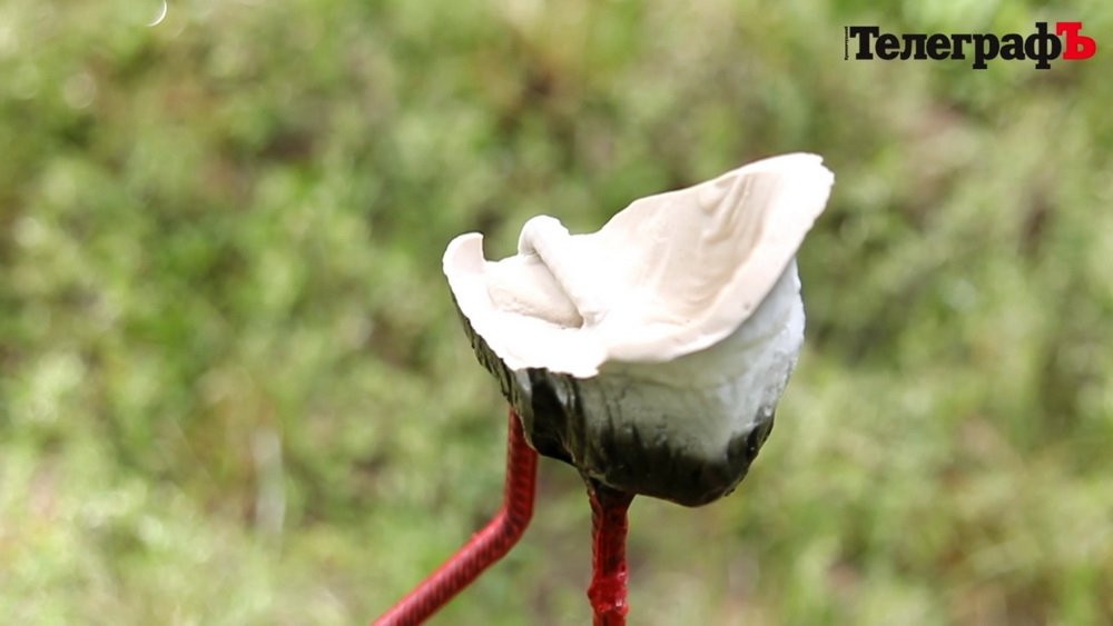 Гриша в небезпеці - кременчуцькі вандали взялися за лелек Гриша в небезпеці - кременчуцькі вандали взялися за лелек