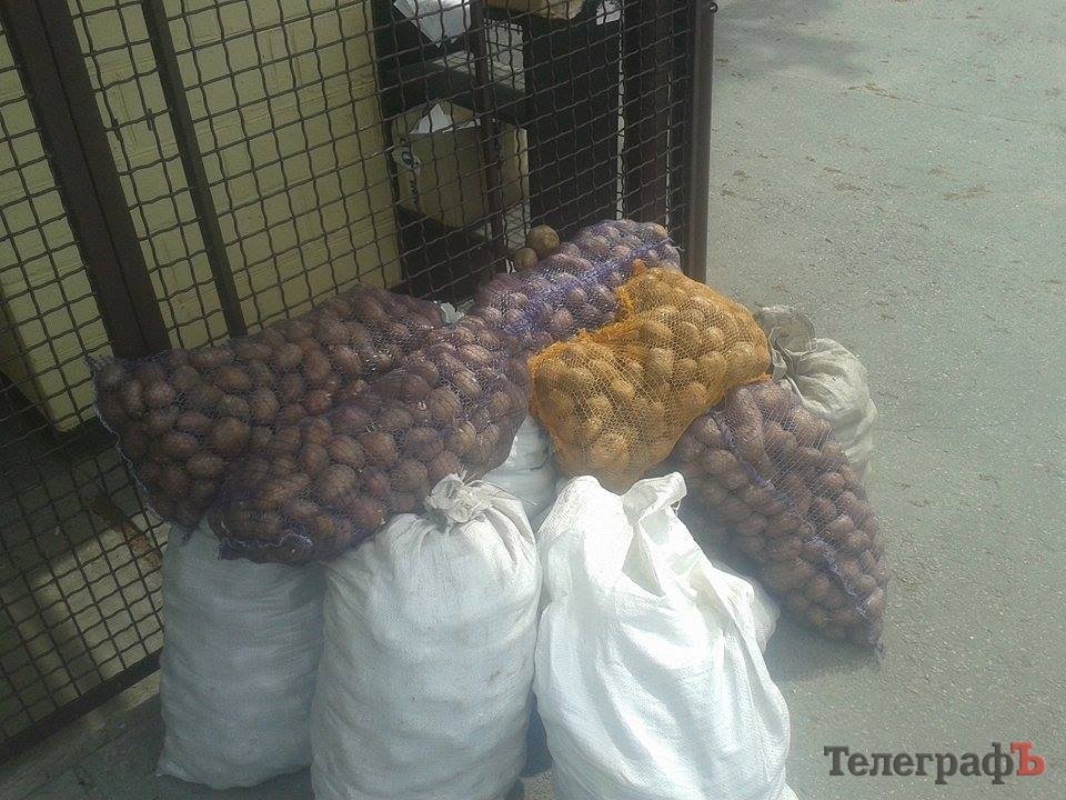 Планшети та картоплю від кременчужан передали на передову Планшети та картоплю від кременчужан передали на передову