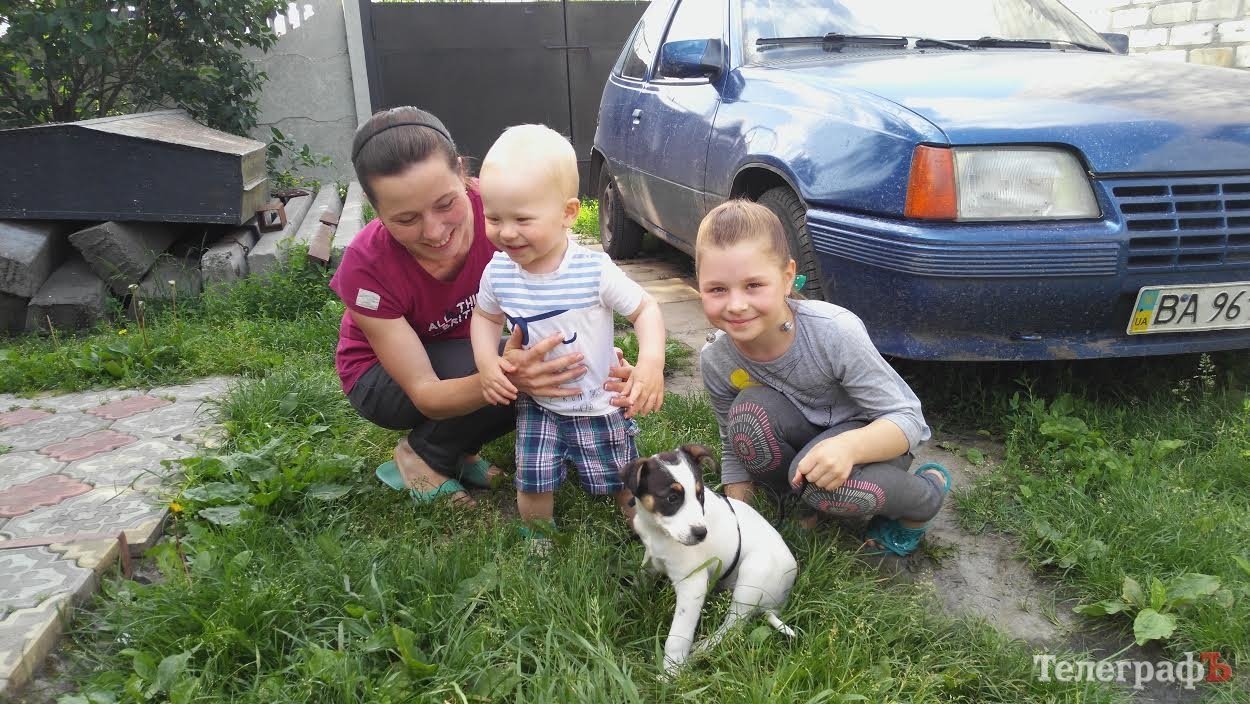 Миленький пёсик ищет хозяина (НАШЕЛ:) Миленький пёсик ищет хозяина (НАШЕЛ:)