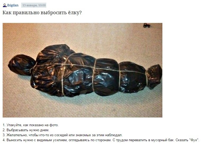 Выбросил ёлку на Троицу. Слабак... Выбросил ёлку на Троицу. Слабак...