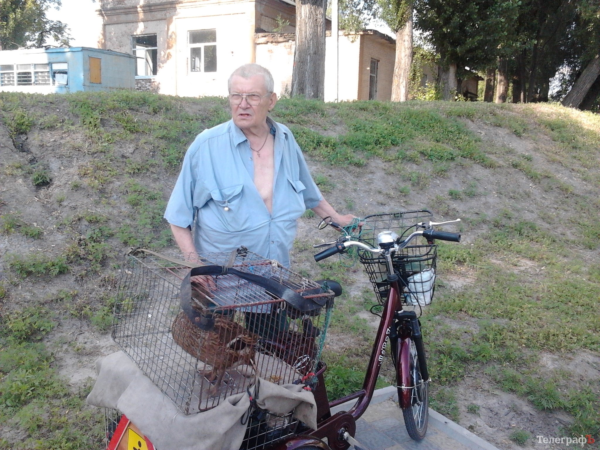 На озері у Міському саду з’явилися качки На озері у Міському саду з’явилися качки