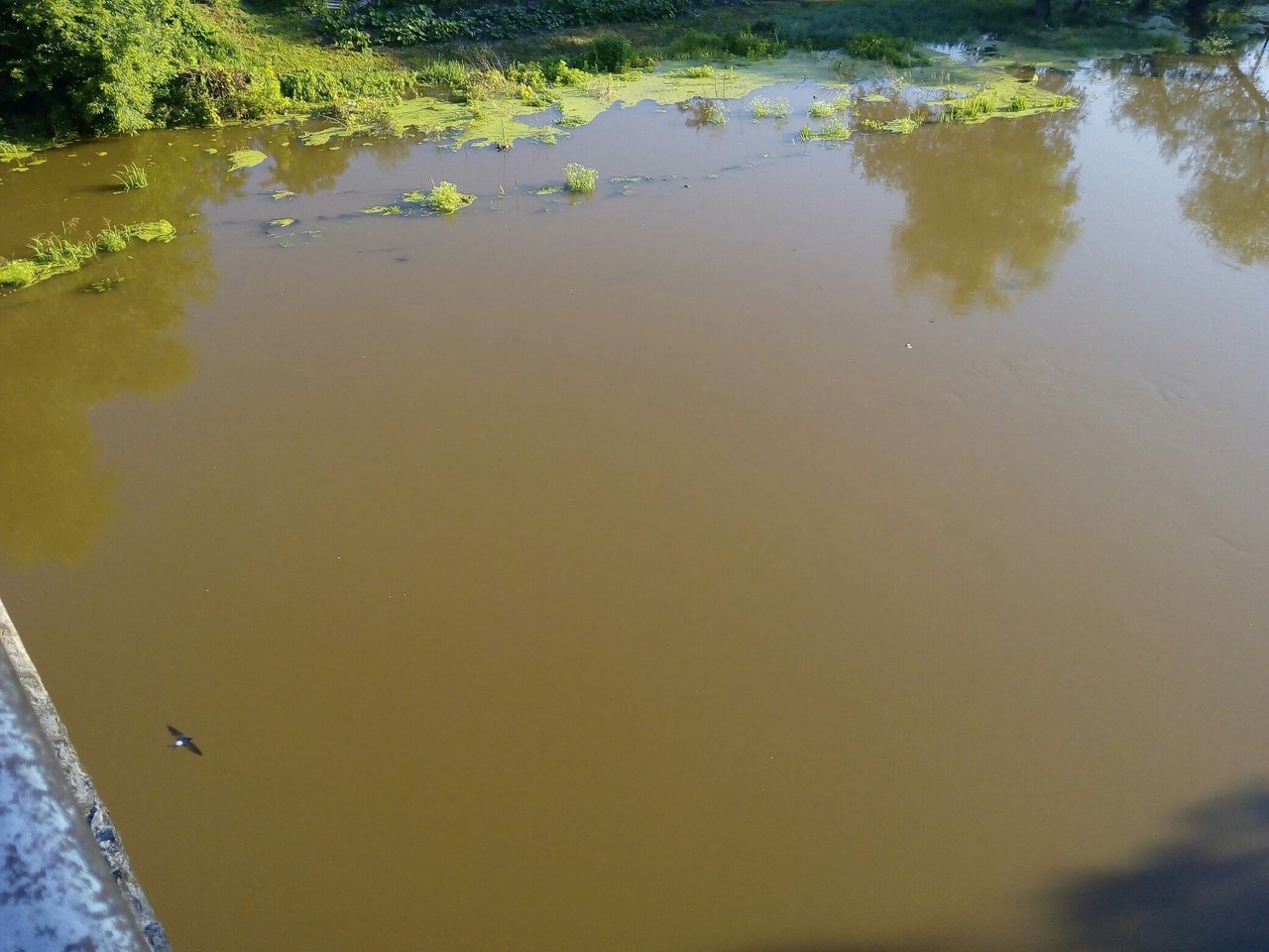 «Чорна» вода тече з Сули до Кременчука «Чорна» вода тече з Сули до Кременчука