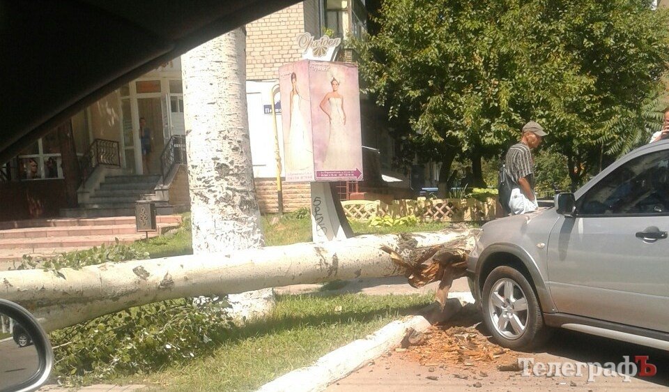 ФОТОФАКТ: В Кременчуге машину привалило деревом ФОТОФАКТ: В Кременчуге машину привалило деревом