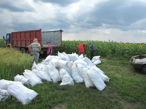 На Полтавщине фермер нашел в своем поле «весёлый уголок»... На Полтавщине фермер нашел в своем поле «весёлый уголок»...